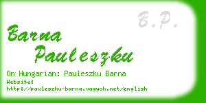 barna pauleszku business card